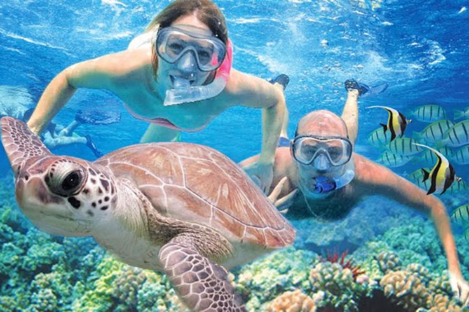 Kauai’s Ultimate Guided Shore Snorkel in South Poipu - Key points at a glance