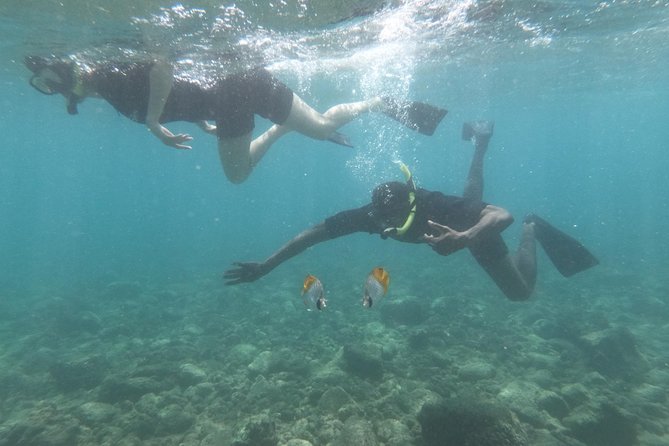 Kauai’s Ultimate Guided Shore Snorkel in South Poipu - The instruction helps beginners settle in
