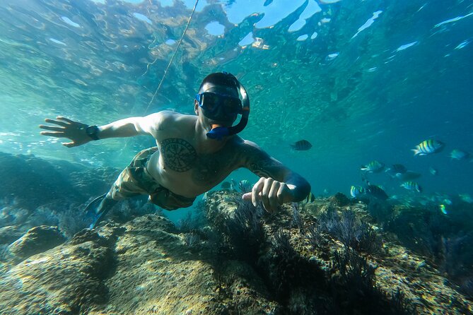 Kayak Expedition to the Arch of Cabo San Lucas, Lovers Beach & Snorkel - El Arco and the sea lions