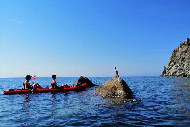 Kayak experience with Carnassa Tour in Cinque Terre + Snorkeling - Is $83.48 a fair price?