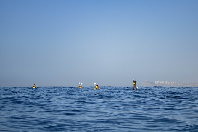Kayak from Viudas Beach to Chileno Bay & Snorkel + Beach Time - What the $90 price really includes