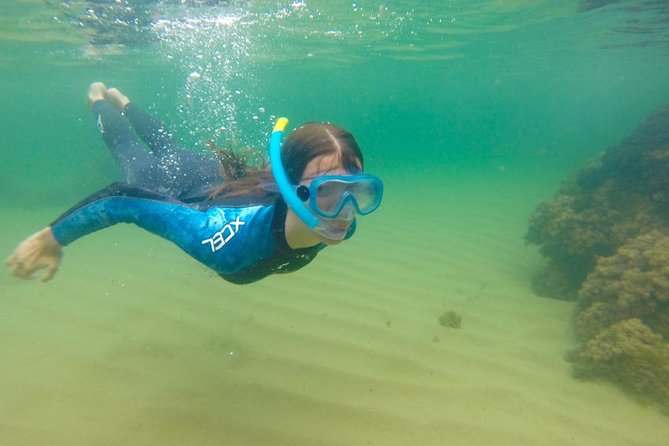 Kayak Route + Snorkel in Cantabria - Paddling across five kilometers of calm water