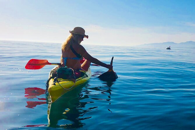 Kayak & Snorkel Tour in Cerro Gordo Natural Park, La Herradura - Snorkeling in changing Mediterranean conditions