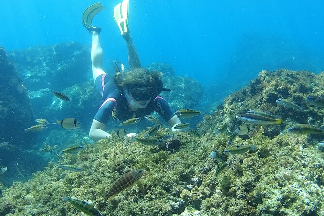 Kayak & Snorkel Tour in Cerro Gordo Natural Park, La Herradura - Guides make the difference