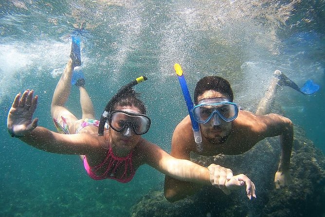 Kayak & Snorkel Tour in Cerro Gordo Natural Park, La Herradura - Who will enjoy this outing most