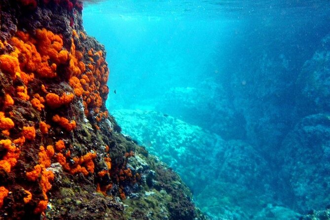 Kayak & Snorkel Tour in Cerro Gordo Natural Park, La Herradura - Paddling a double kayak along the cliffs