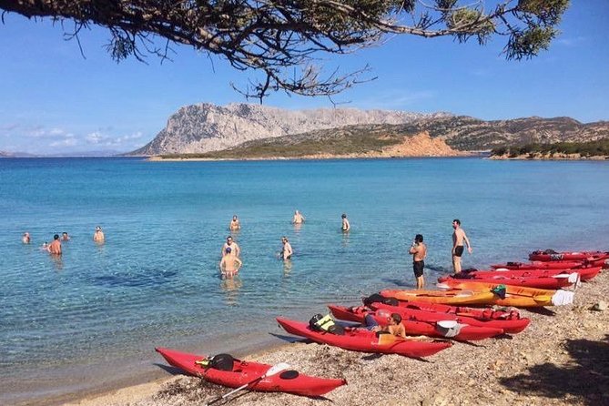 Kayak Tour with Snorkeling and Local Aperitif - Who will enjoy this kayak tour most?