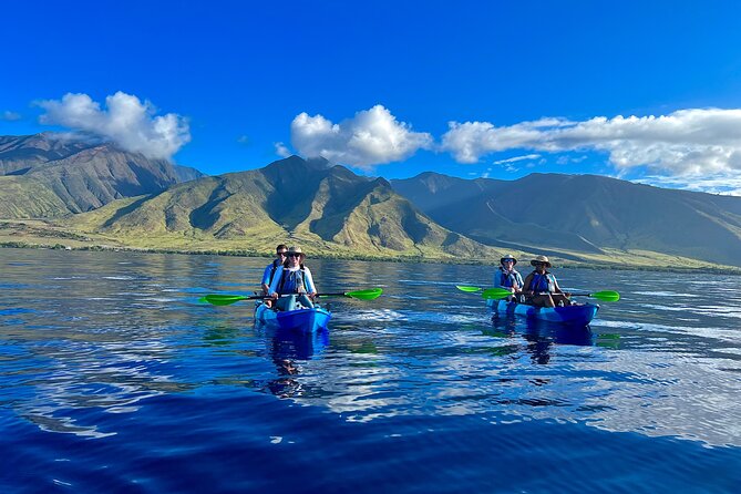 Kayak & Turtle Town Snorkel(Turtles Guaranteed) + Whale Watching - Key points at a glance