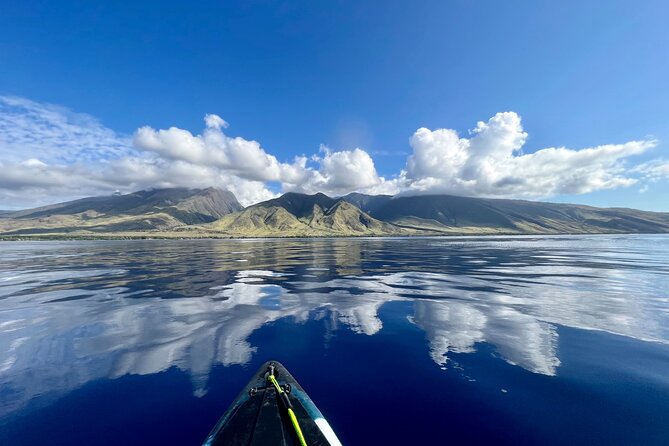 Kayak & Turtle Town Snorkel(Turtles Guaranteed) + Whale Watching - What the $119 price buys you at Olowalu
