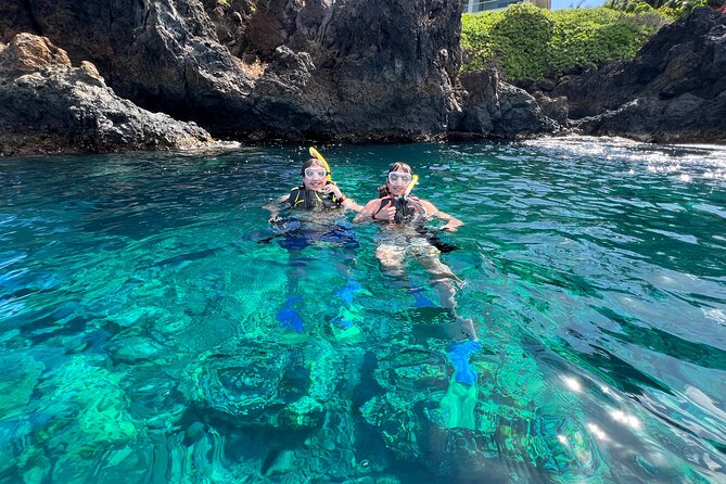 Kayak & Turtle Town Snorkel(Turtles Guaranteed) + Whale Watching - The turtle cleaning station