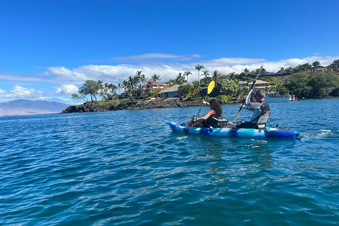 Kayak & Turtle Town Snorkel(Turtles Guaranteed) + Whale Watching - Whale watching from a kayak