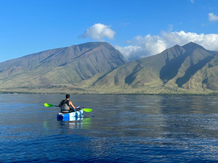 Kayak, Whale Watch And Snorkel At Turtle Town - Key points to know before booking