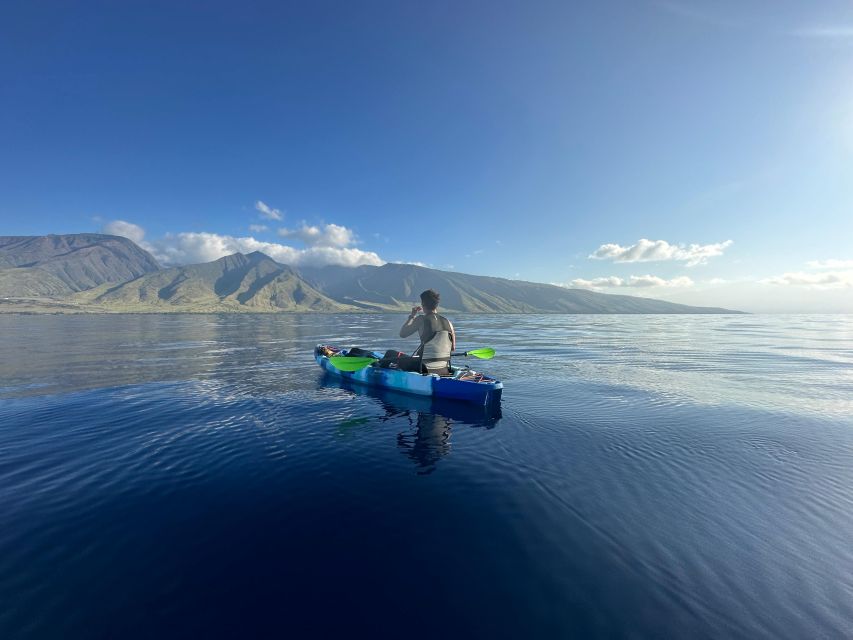 Kayak, Whale Watch And Snorkel At Turtle Town - Snorkeling near turtles and tropical fish