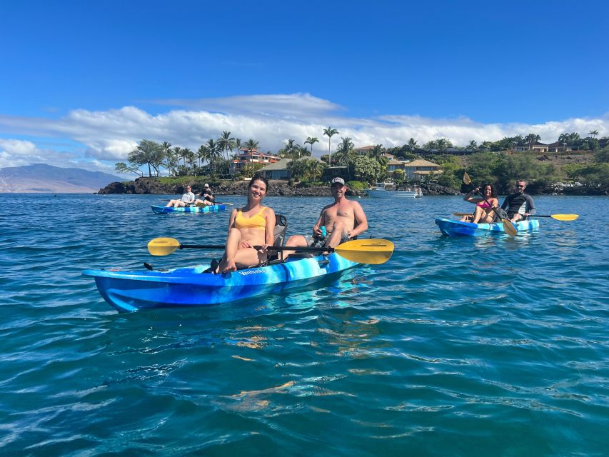 Kayak, Whale Watch And Snorkel At Turtle Town - Guides who keep the outing personal