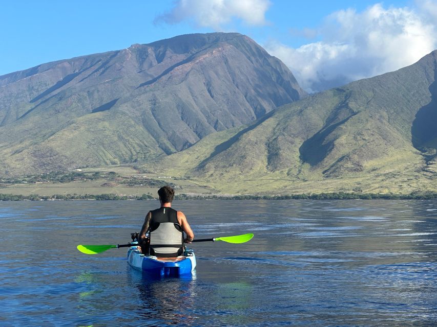 Kayak, Whale Watch And Snorkel At Turtle Town - Who will enjoy this Maui water tour most