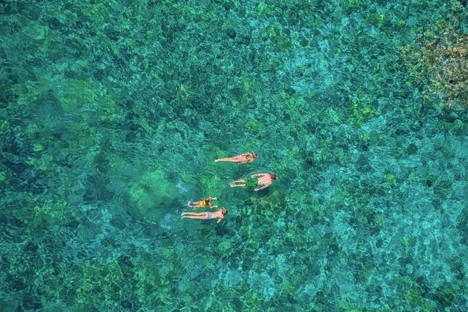 Kealakekua Bay Afternoon Snorkel: Family Fun on the Kona Coast - Snorkeling in Kealakekua Bay Marine Preserve