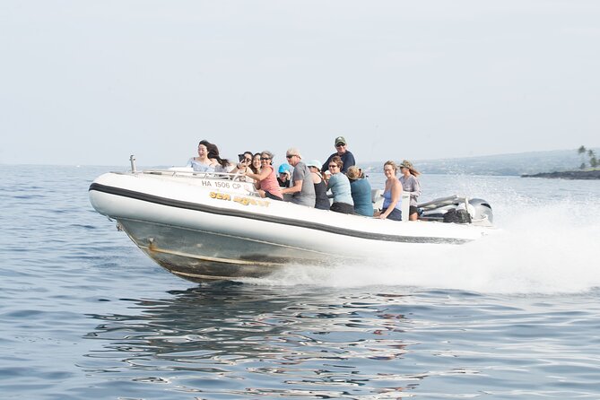 Kealakekua Bay Captain Cook Snorkel Exclusive - Fish, turtles, dolphins, and seasonal whales