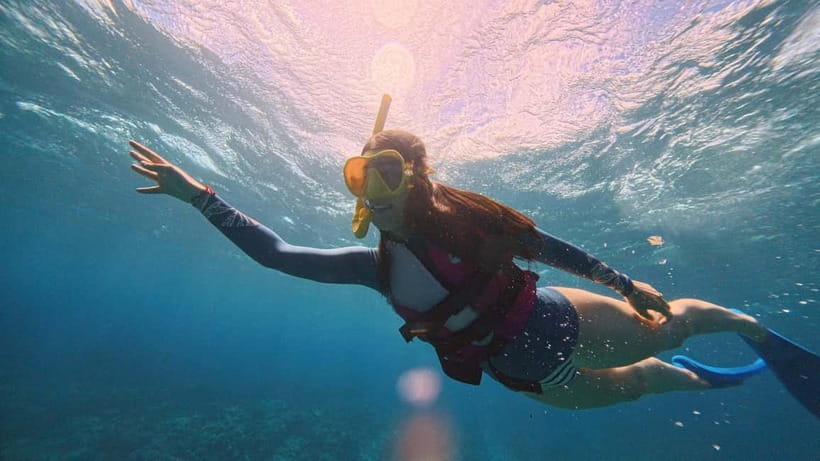 Kerama Half-Day Snorkeling Tour - The essentials at a glance