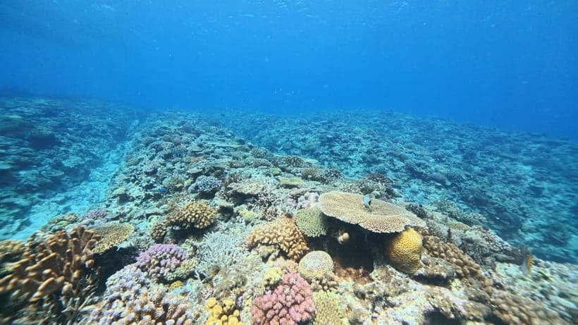 Kerama Half-Day Snorkeling Tour - What the boat ride adds