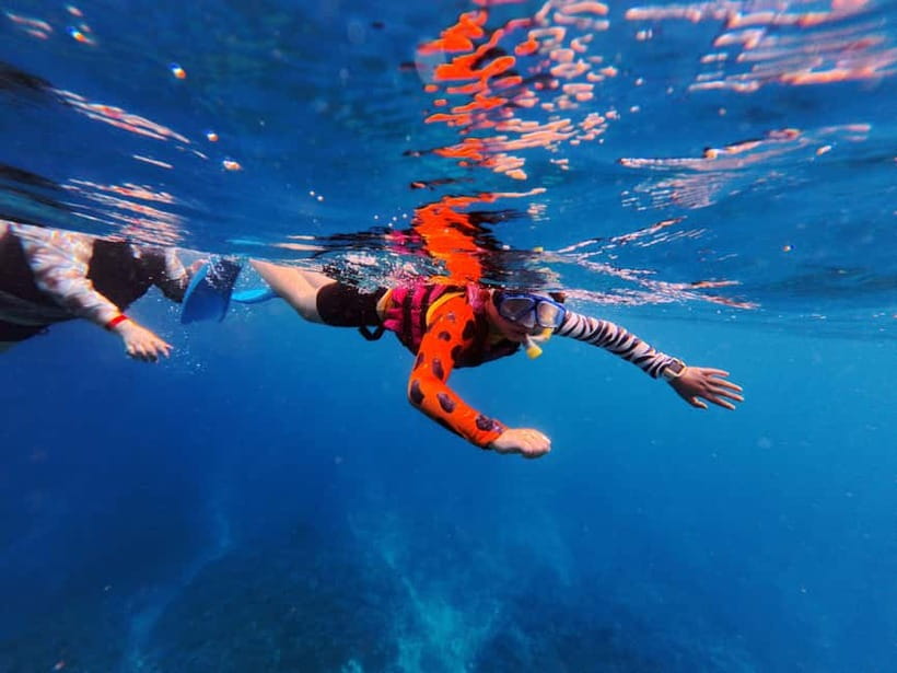 Kerama Half-Day Snorkeling Tour - Free photos, with a weather warning