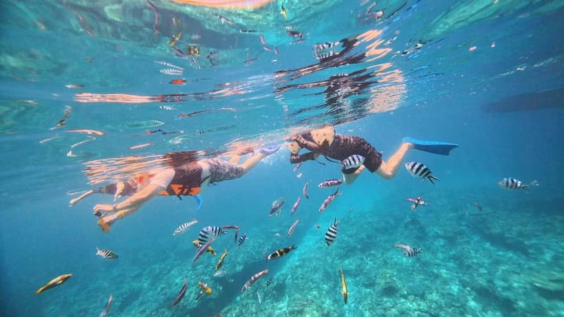 Kerama Half-Day Snorkeling Tour - Who should book, and who should skip it