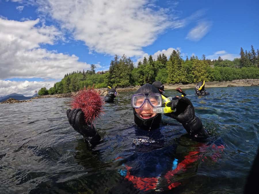 Ketchikan, Alaska: The Mountain Point Snorkeling Adventure - One hour among kelp, sea stars, and tide pools