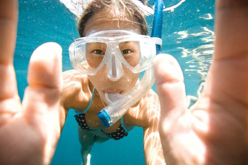 Key Largo: Molasses Reef Snorkeling Trip - Key points to know before booking