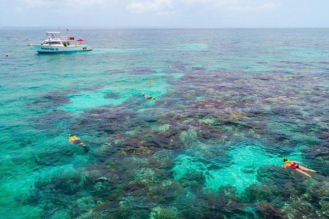Key Largo Snorkeling Tour - rental mask, fins and vest INCLUDED - Why beginners tend to feel comfortable