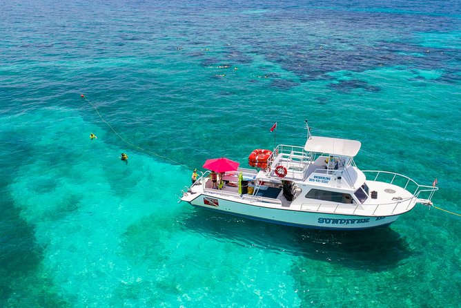 Key Largo Snorkeling Tour - rental mask, fins and vest INCLUDED - The first stop: Florida Keys National Marine Sanctuary