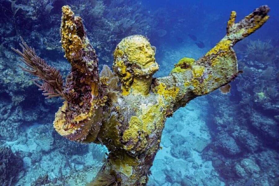 Key Largo: Snorkeling Trip - What the four-hour Key Largo trip is really like