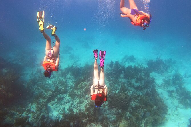 Key Largo Two Reef Snorkel Tour - All Snorkel Equipment Included! - What you actually get for $78