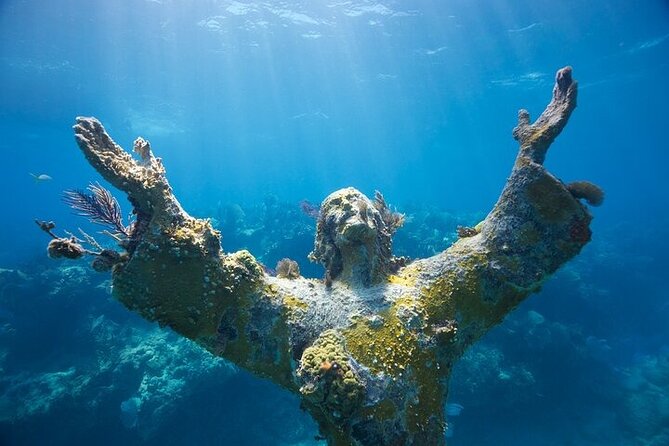 Key Largo Two Reef Snorkel Tour - All Snorkel Equipment Included! - Marine life, coral, and realistic expectations