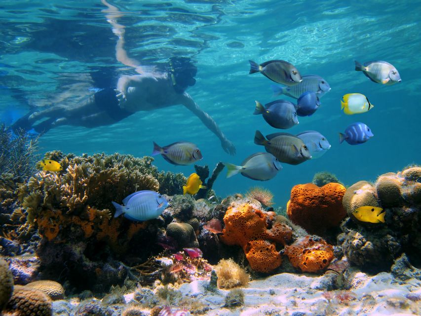 Key West: 2 Reef Snorkel With Sunset Cruise, Includes Drinks - Getting ready for the water