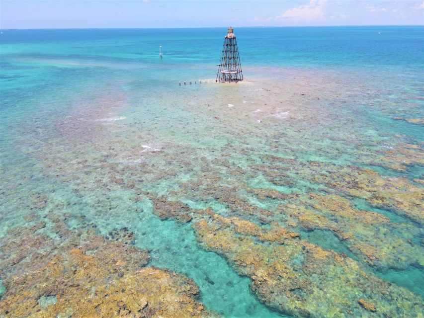 Key West: 2 Reef Snorkel With Sunset Cruise, Includes Drinks - Looking for fish, turtles, and coral