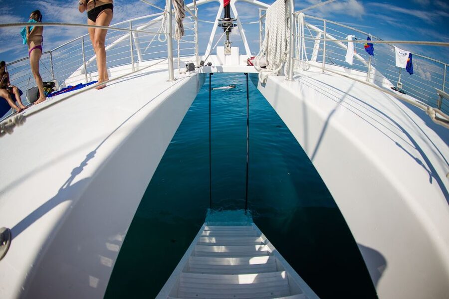 Key West: 2 Reef Snorkel With Sunset Cruise, Includes Drinks - The crew makes a real difference