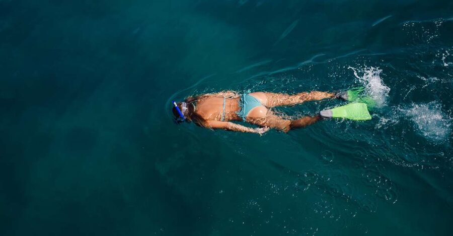 Key West: 3-Hour Afternoon Reef Snorkel with Drinks - Key points to know before booking