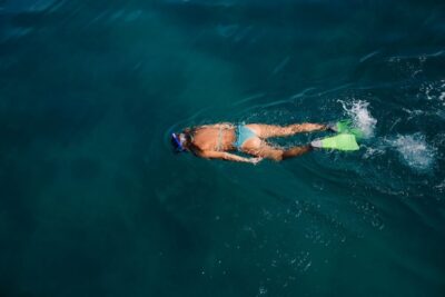 3-Hour Afternoon Reef Snorkel with Drinks