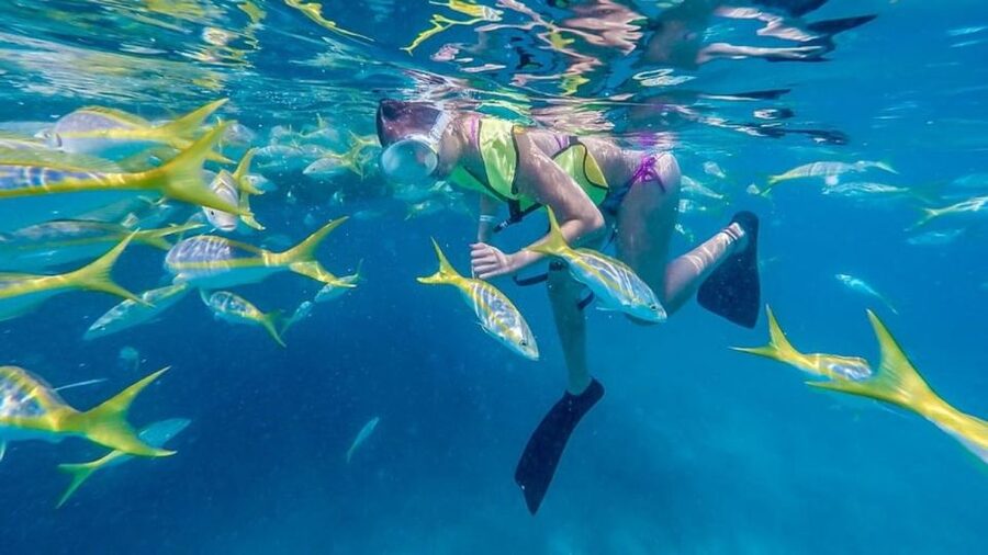Key West: Afternoon Reef Snorkel Tour with Open Bar - Key points to know before booking