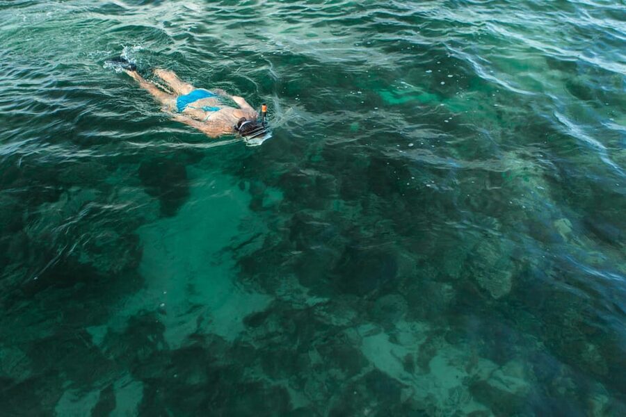 Key West Afternoon Sail, Snorkel, Kayak & Sunset Excursion - Snacks, drinks, and the value of the $133 price