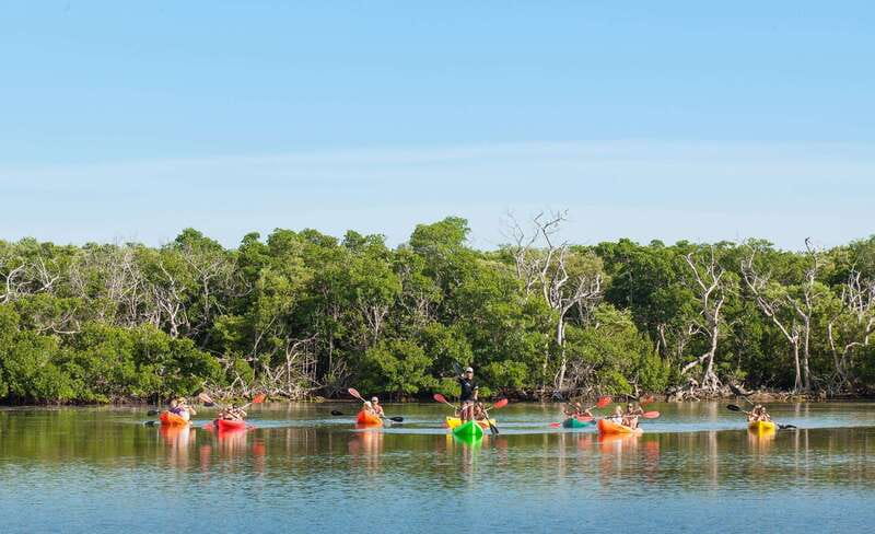 Key West Afternoon Sail, Snorkel, Kayak & Sunset Excursion - Kayaking through the mangrove channels