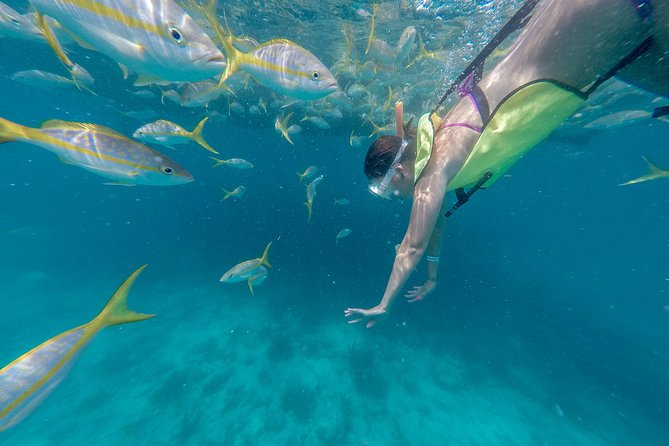 Key West Afternoon Snorkel Sail with Unlimited Cocktails! - Leaving Key West aboard the Marquesa