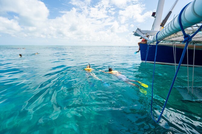 Key West Afternoon Snorkel Sail with Unlimited Cocktails! - The crew makes or breaks the afternoon