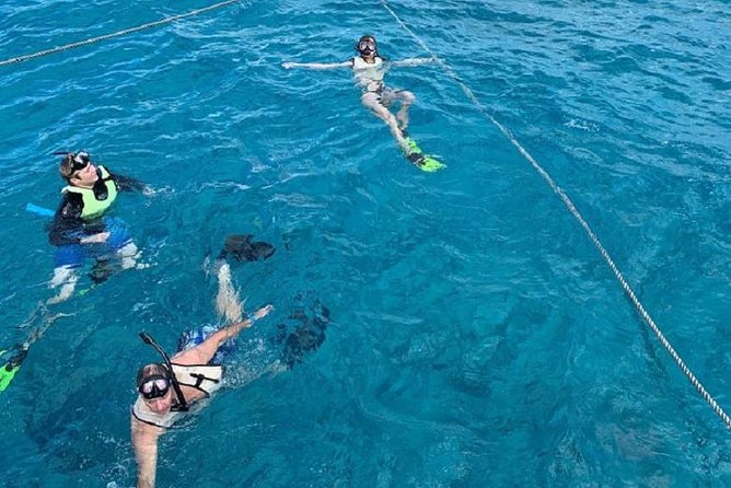 Key West Afternoon Snorkel Sail with Unlimited Cocktails! - Who should book this snorkel sail?