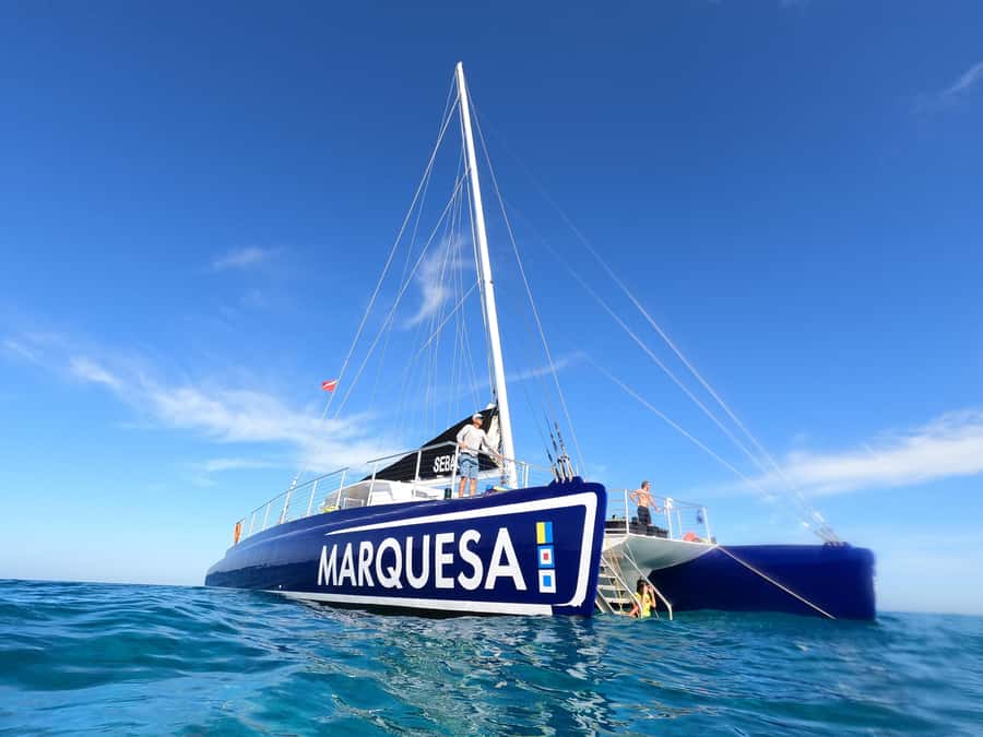 Key West: Catamaran Snorkel with Seafood Boil and Open Bar - Starting at the Historic Key West Seaport