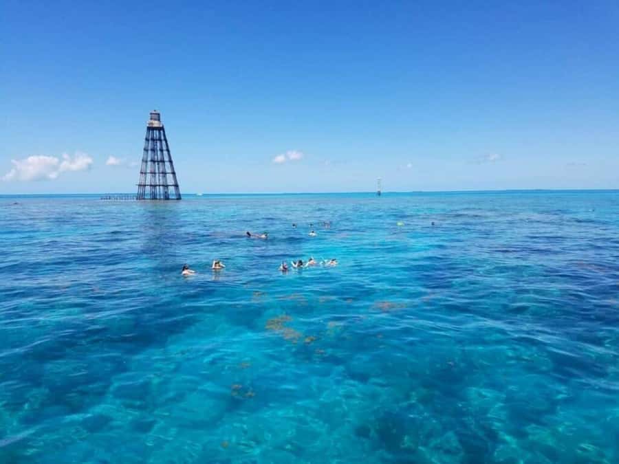 Key West: Catamaran Snorkel with Seafood Boil and Open Bar - Snorkeling at two Key West sites