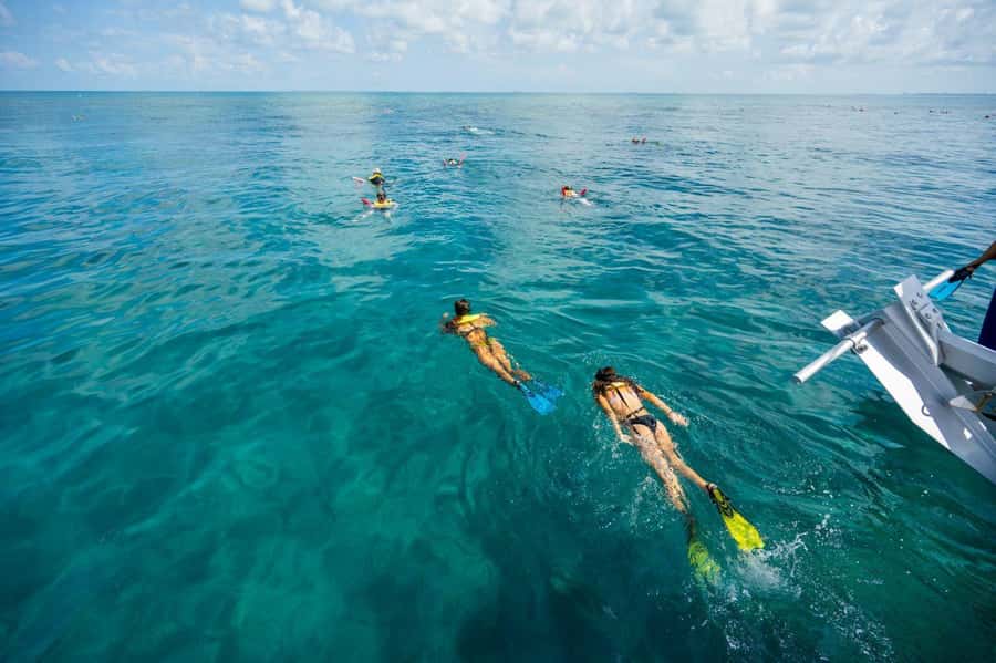 Key West: Catamaran Snorkel with Seafood Boil and Open Bar - Practical preparation for the four hours