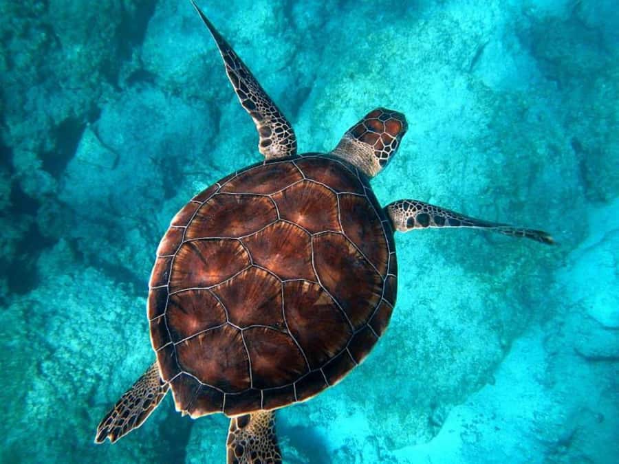 Key West: Catamaran Snorkel with Seafood Boil and Open Bar - Final verdict: should you book it?