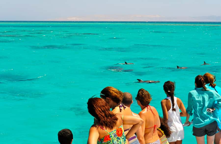 Key West: Dolphin & Reef Snorkel Trip with Sunset Option - Key points to know before you book