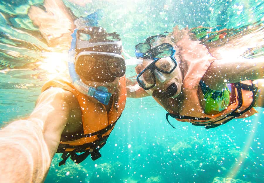 Key West: Dolphin & Reef Snorkel Trip with Sunset Option - Watching wild dolphins in their natural setting