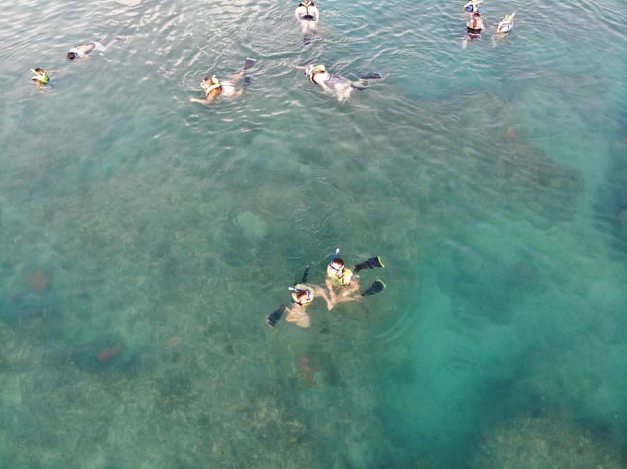 Key West: Dolphin & Reef Snorkel Trip with Sunset Option - What the service may be like onboard